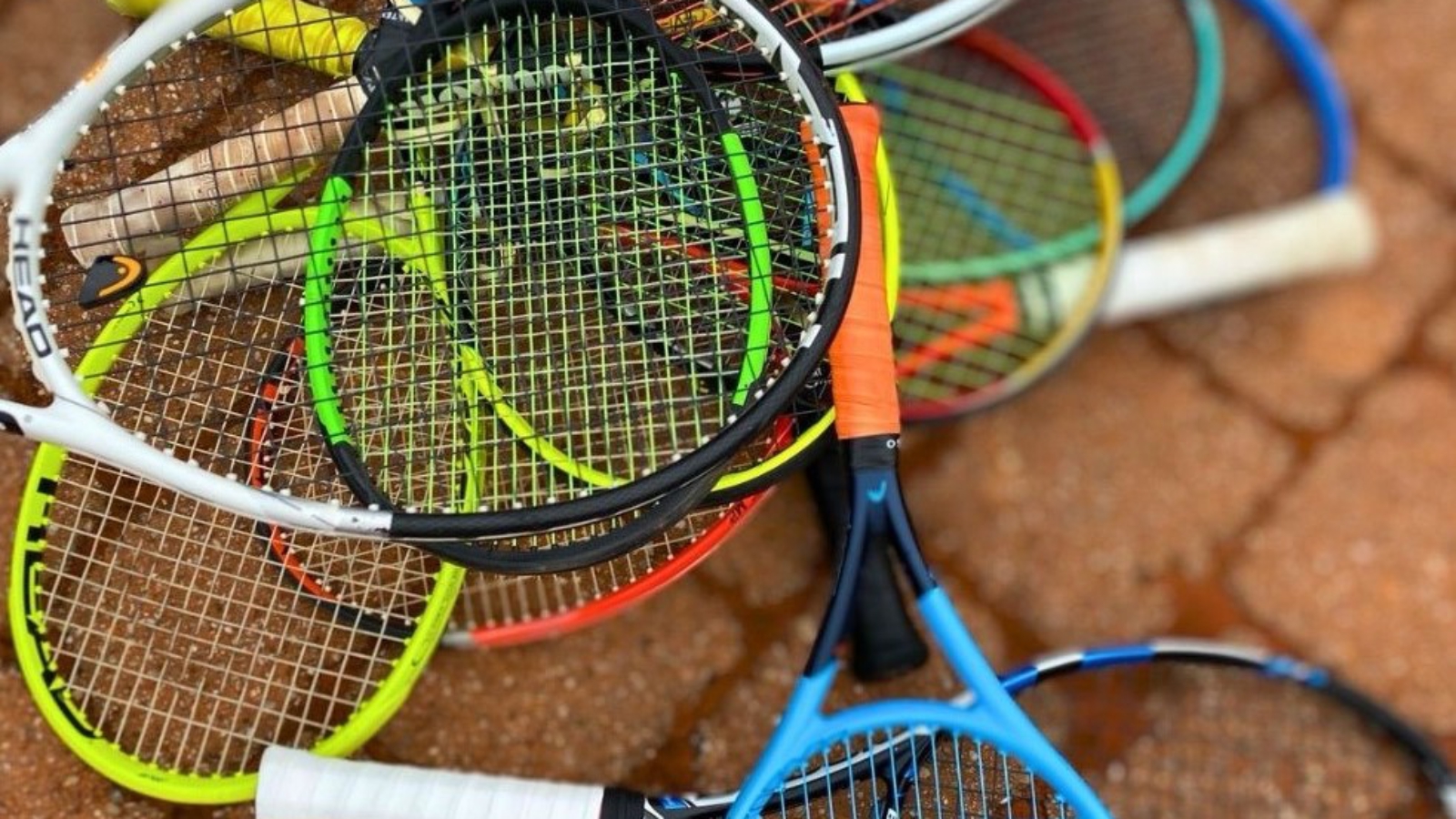 606f666f-e915-4b12-a551-fe3ede009685-4